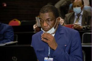 Jour 1 du congrès AFMED 2021 à l&rsquo;INRB, photo 14 sur 59